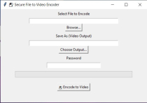 Vidcrypt - Python Screenshot 2